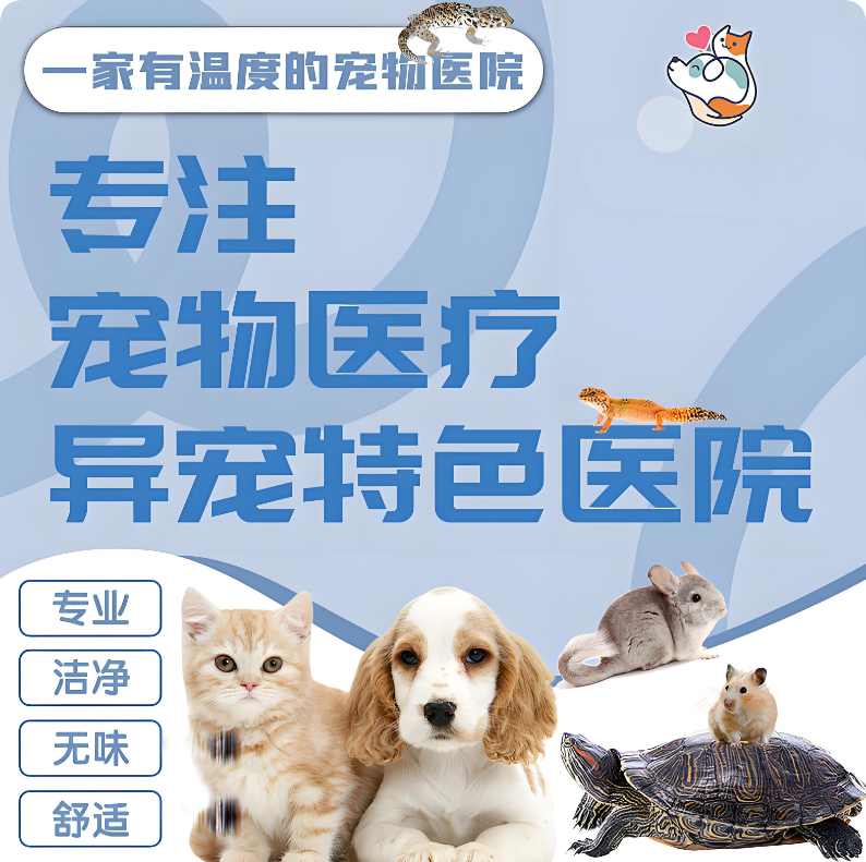 巧用美團(tuán)/大眾點(diǎn)評“問大家”，讓寵主放心選擇你的醫(yī)院